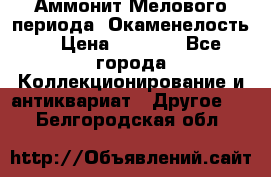 Аммонит Мелового периода. Окаменелость. › Цена ­ 2 800 - Все города Коллекционирование и антиквариат » Другое   . Белгородская обл.